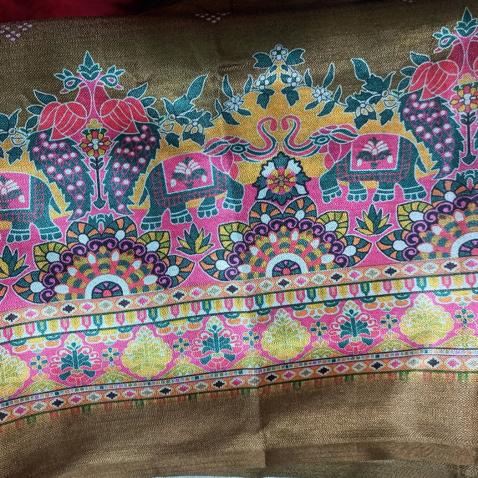 Pashmina Silk Saree with Multi Colored Digital Print